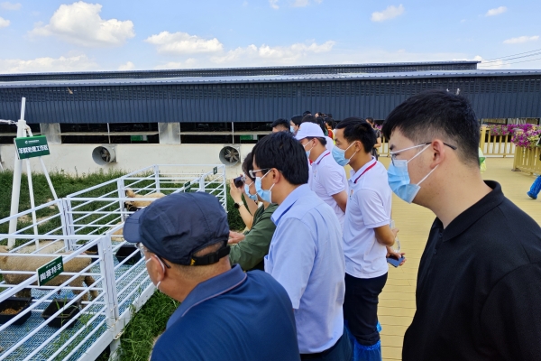 图片三 杨雨鑫老师向大家介绍全自动羊群工作系统的工作模式.jpg