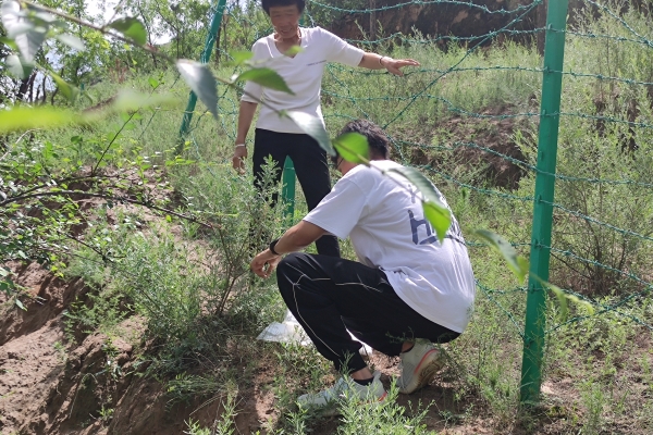 图片一 队员收集当地特色饲草资源_副本.jpg